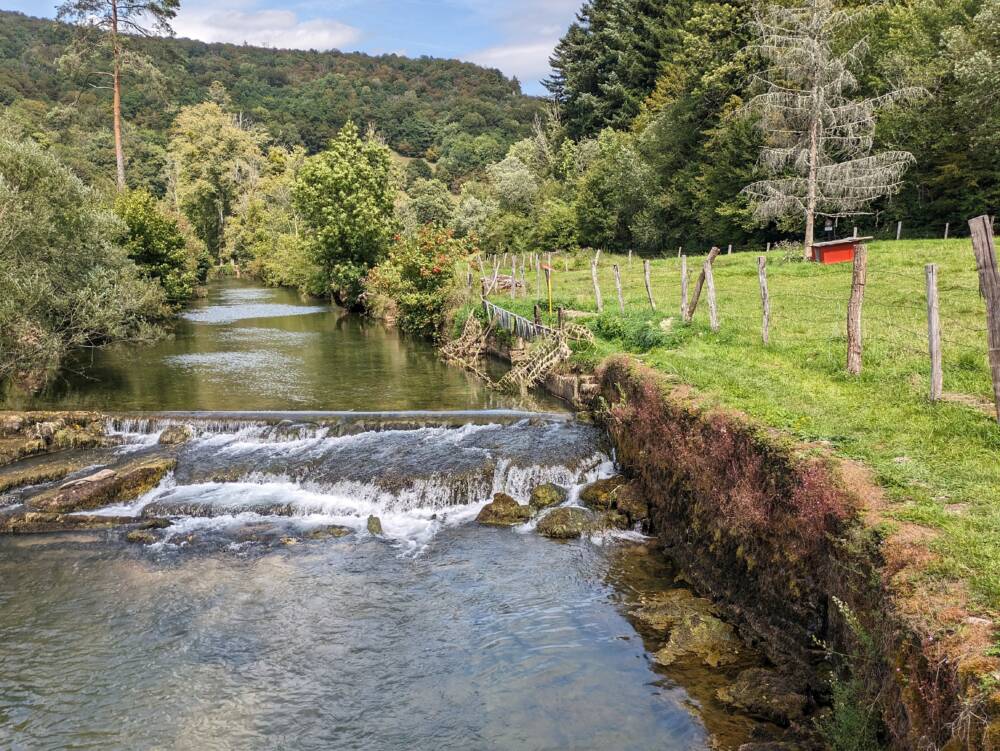 Pisciculture Bouhelier - Août 2023 - Crédit OT DOUBS BAUMOIS (2)