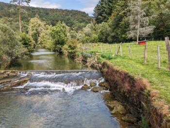Pisciculture Bouhelier - Août 2023 - Crédit OT DOUBS BAUMOIS (2)