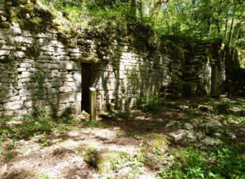 Ruine du site Carrier sur le sentier de découverte