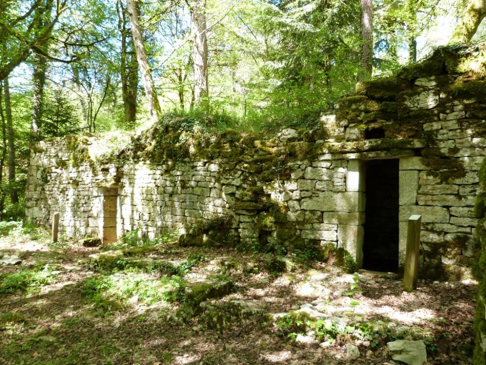Ruine du site Carrier sur le sentier de découverte