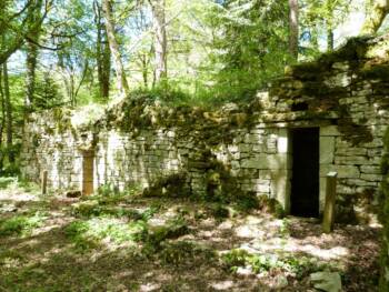 Ruine du site Carrier sur le sentier de découverte