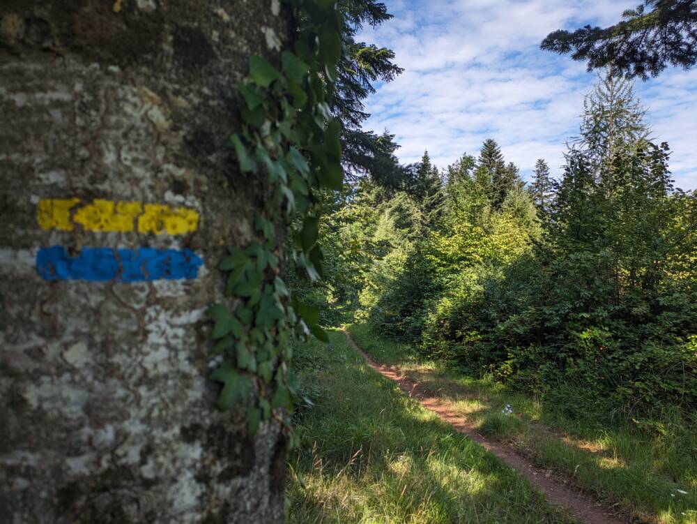 Arboretum - Chemin de la République - Juillet 2023 - Crédit OT Doubs Baumois (20)