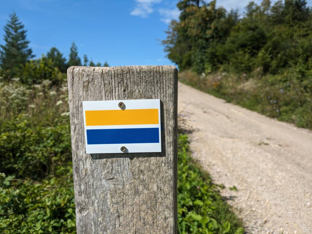 Arboretum - Chemin de la République - Juillet 2023 - Crédit OT Doubs Baumois (25)