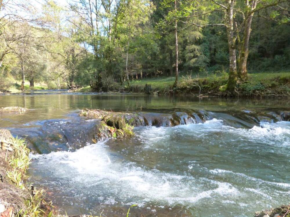 Vallée du Cusancin