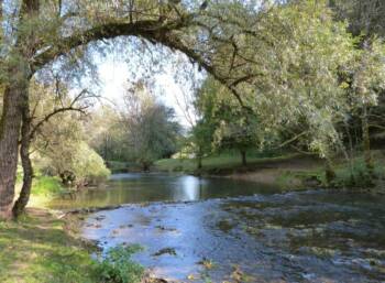 Vallée du Cusancin en voiture