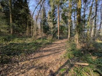 Mont de Guillon - Avril 2026 - OT Doubs Baumois (15)