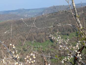 Mont de Guillon - Avril 2026 - OT Doubs Baumois (22)