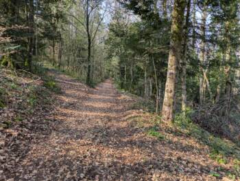 Mont de Guillon - Avril 2026 - OT Doubs Baumois (29)