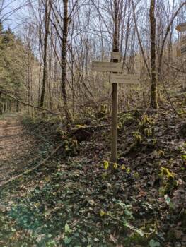 Mont de Guillon - Avril 2026 - OT Doubs Baumois (32)