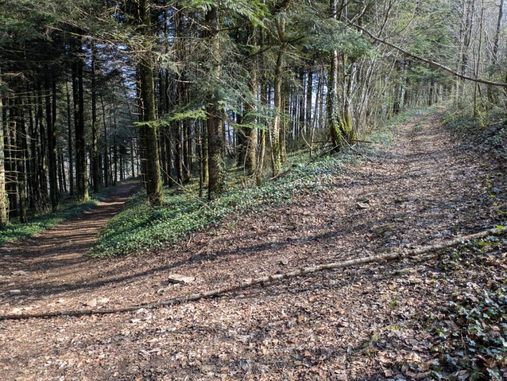 Mont de Guillon - Avril 2026 - OT Doubs Baumois (33)