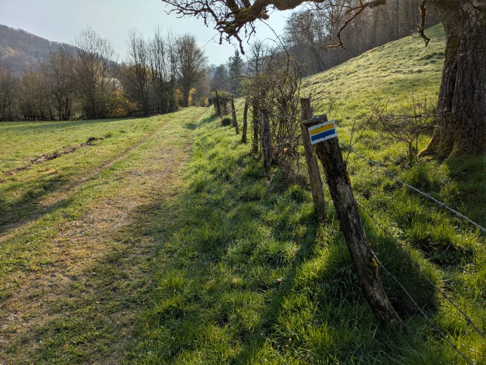 Mont de Guillon - Avril 2026 - OT Doubs Baumois (5)