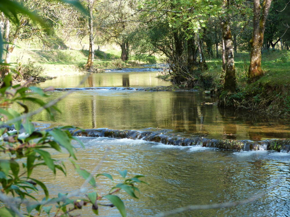 octobre2015-Chantal Meyer (1)_1