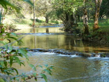 octobre2015-Chantal Meyer (1)_1