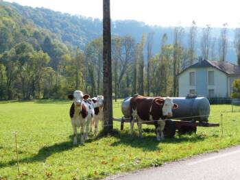 octobre2015-Chantal Meyer (44)_2