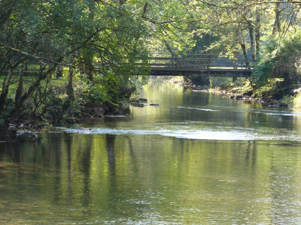 octobre2015-Chantal Meyer (8)_5