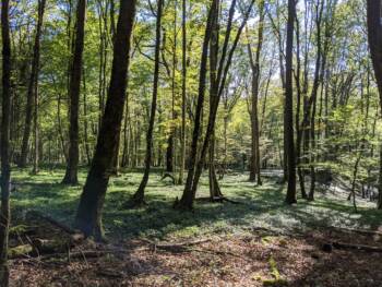 Châtard - Octobre 2021 - Lisa Rousseau - Crédit OT DOUBS BAUMOIS (5)_4