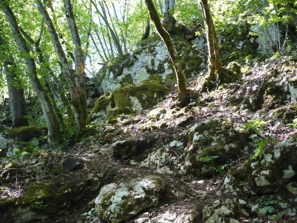 Mont Dommage - 2017 - Crédit Stéphanie Haïdara (22)_4