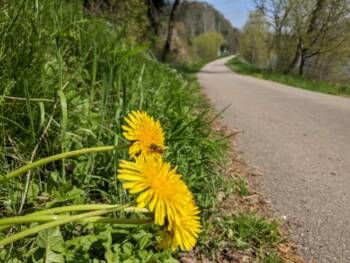Eurovélo6 - Printemps 2023 - Crédit OT BLD (3)