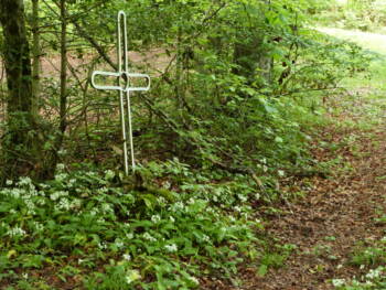 Rechandet- Juin 2016 - Crédit chantal Meyer (61)_4