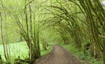Sentier les narines du Diables