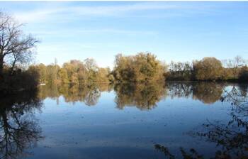 Vue sur l'Ognon