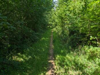 Arboretum - Chemin de la République - Juillet 2023 - Crédit OT Doubs Baumois (18)