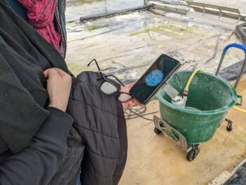 Spiruline du Doubs