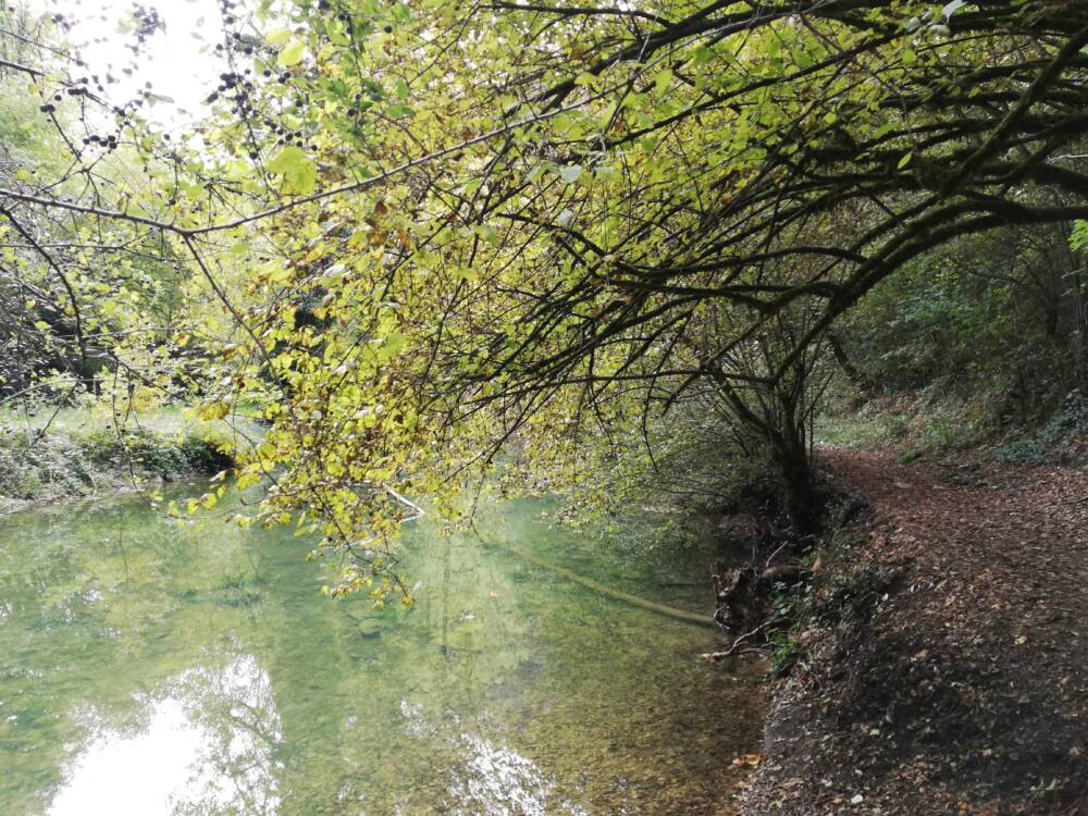 Source Bleue - Source Verte - Lisa Rousseau (34)