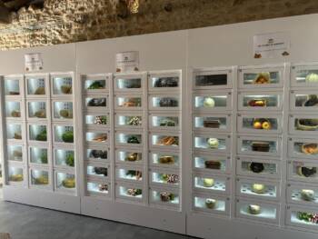 470597804_122148928910330279_3775613872403966177_n