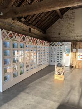 474329592_122153664116330279_4394390800313693082_n