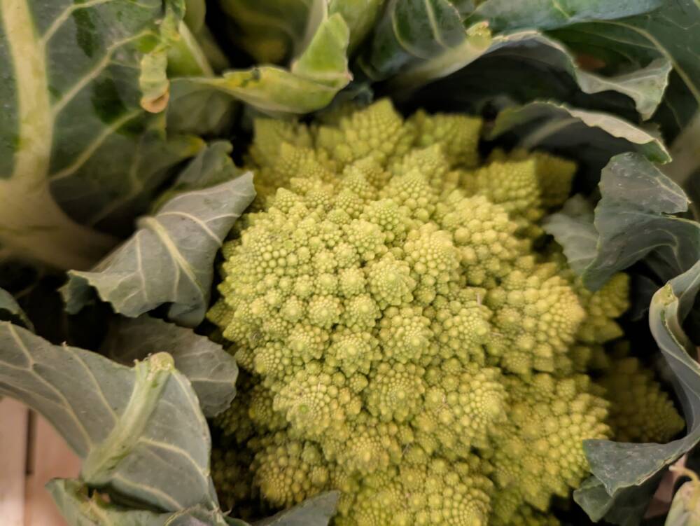 Marché aux saveurs - 2026 - Crédit OT DOUBS BAUMOIS (9)