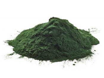SPIRULINE DU DOUBS_3