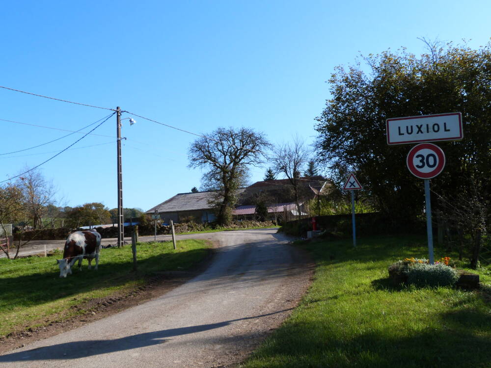 luxiol-cmeyer (12)