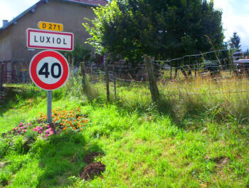 Luxiol1
