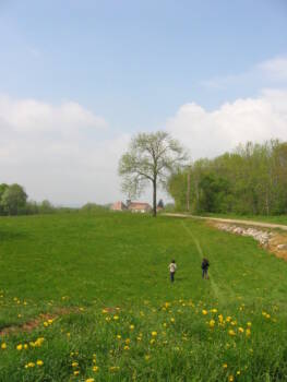 img0037