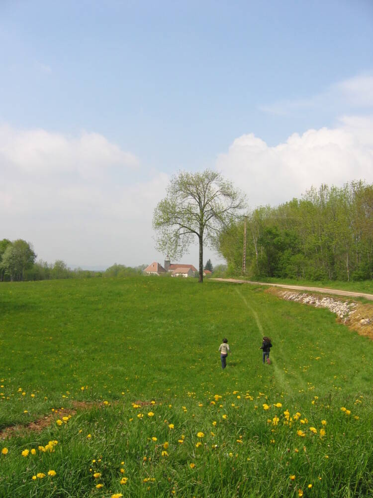img0037