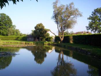 Vergranne