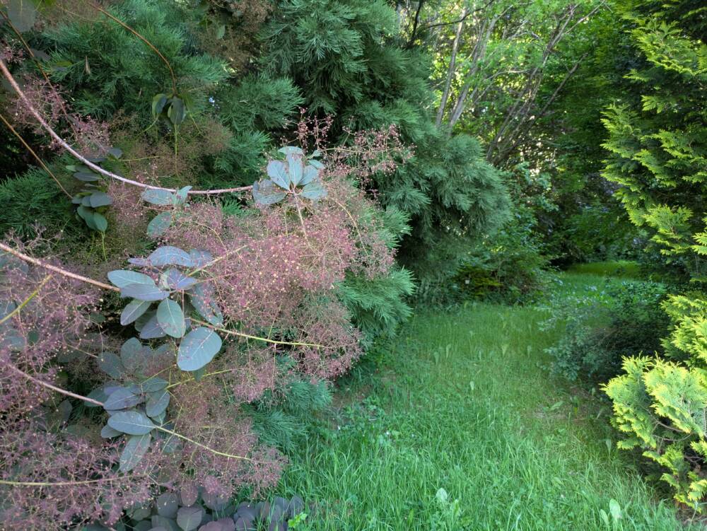 PXL_20250529_164519244