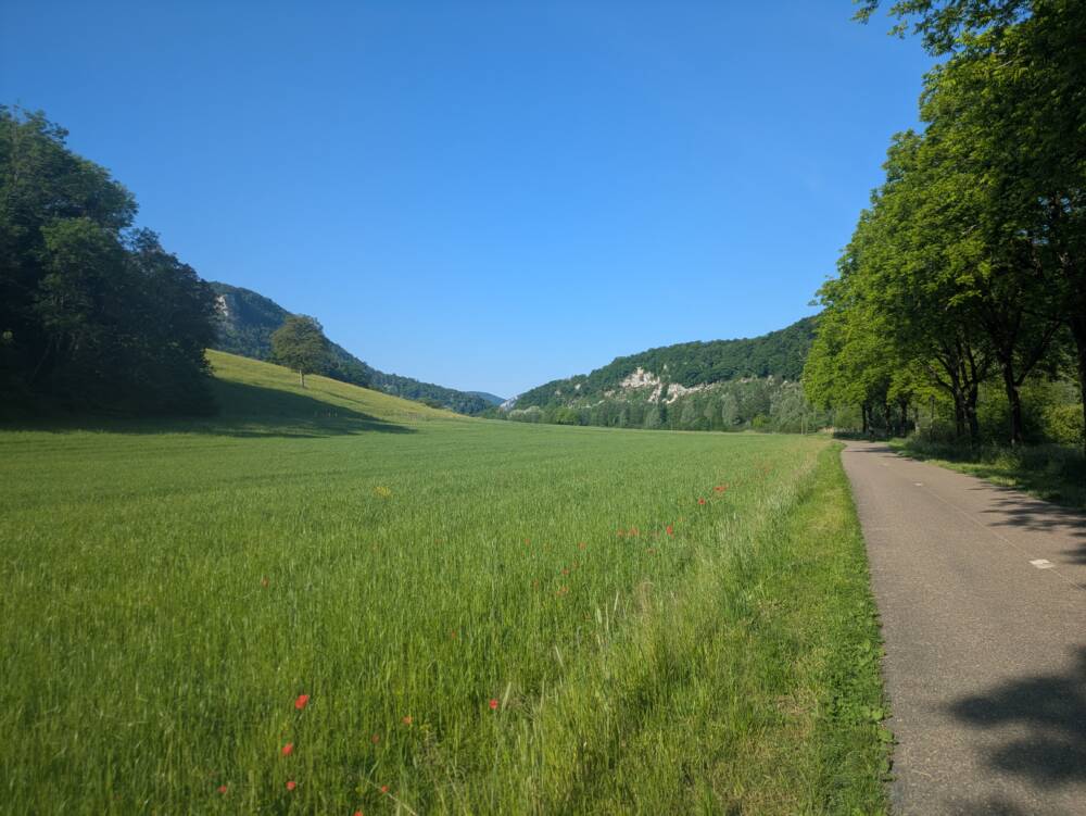 Ougney - Crédit OT DOUBS BAUMOIS - 2025  (21)