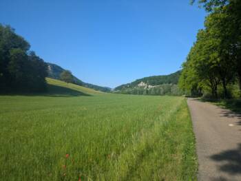Ougney - Crédit OT DOUBS BAUMOIS - 2025  (21)